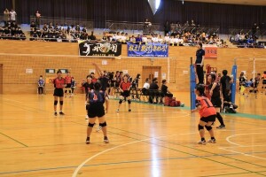 s-IMG_5991