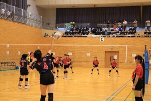 s-IMG_6002