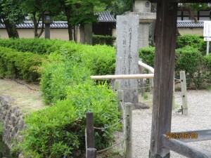 IMG_0789