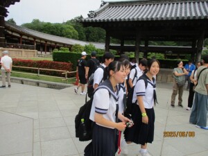 IMG_0809