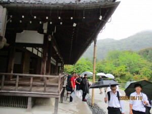 IMG_0979