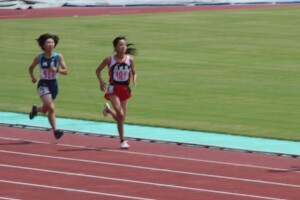 IMG_3310