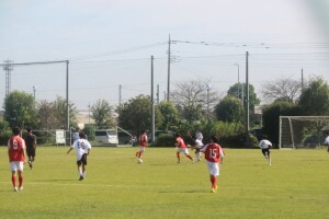 IMG_3563-1