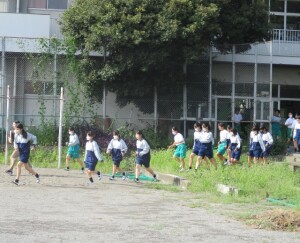 IMG_2530-1 - コピー