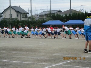 IMG_2979